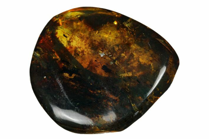 Polished Chiapas Amber ( g) - Mexico #180441